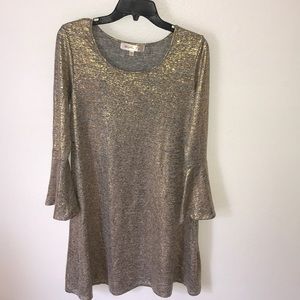 Beautiful- Gold/Greyish Dress